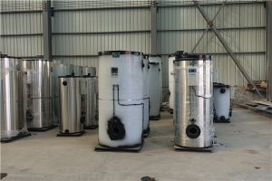 20吨生物质导热油炉