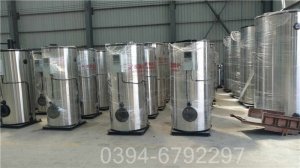 12吨天然气导热油炉