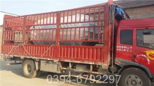 家用电加热导热油炉