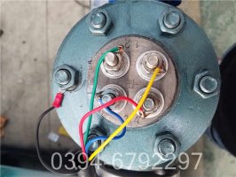 燃煤导热油炉7346148