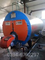 30万大卡燃气导热油炉