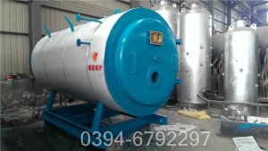 立式电蒸汽发生器