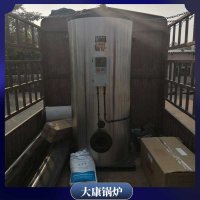 反烧燃煤蒸汽锅炉4吨具有核心技术的