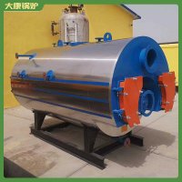 卧式燃煤蒸汽锅炉WNS0.5蒸馒头用