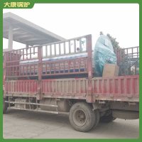 天津120kw液化气热水锅炉